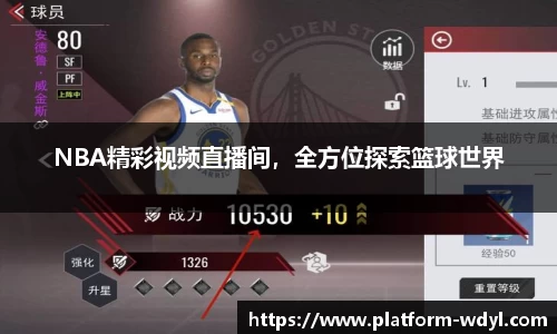 NBA精彩视频直播间，全方位探索篮球世界