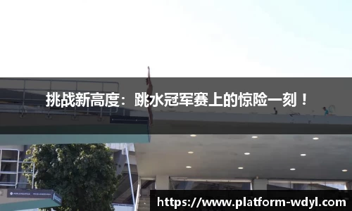 问鼎娱乐